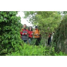 Foraging for WiId Food - Saturday May 13th, 2017  with Joerg Mueller -NEW